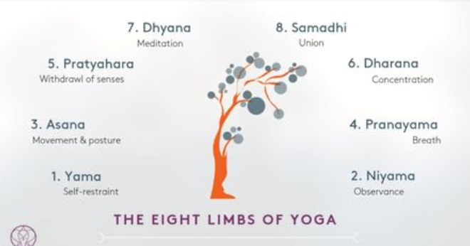 The Eight Limbs of Yoga